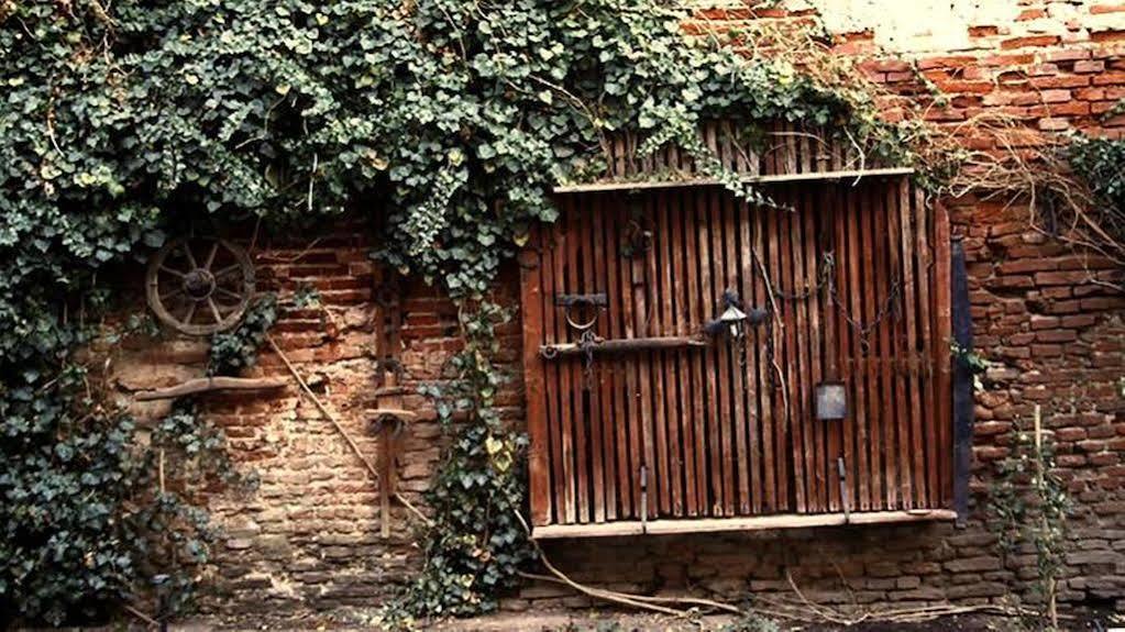 Guesthouse Casa Baciu シビウ エクステリア 写真